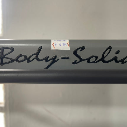 MÁQUINA DE POLEAS “BODY-SOLID”