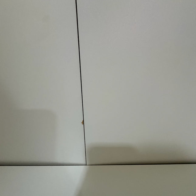 ARMARIO BLANCO DOS PUERTAS