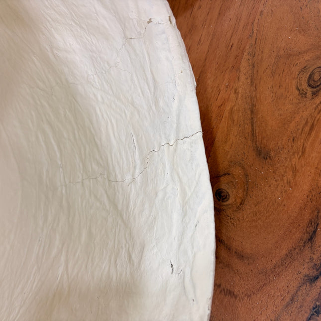 LÁMPARA DE TECHO CALVIA