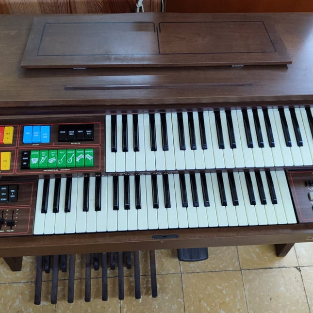 ÓRGANO ELECTRÓNICO GEM WIZARD 335