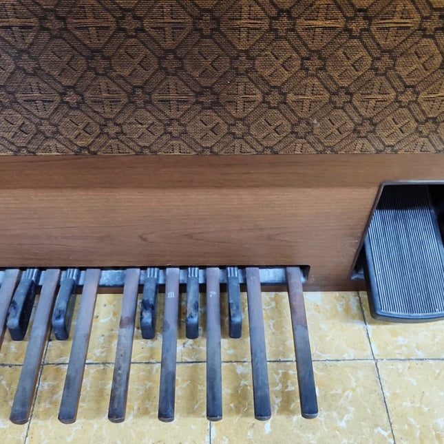 ÓRGANO ELECTRÓNICO GEM WIZARD 335